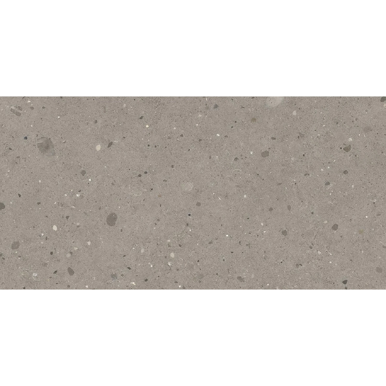 40×80 Keynote Cool Grey granitna keramika natt rett-01