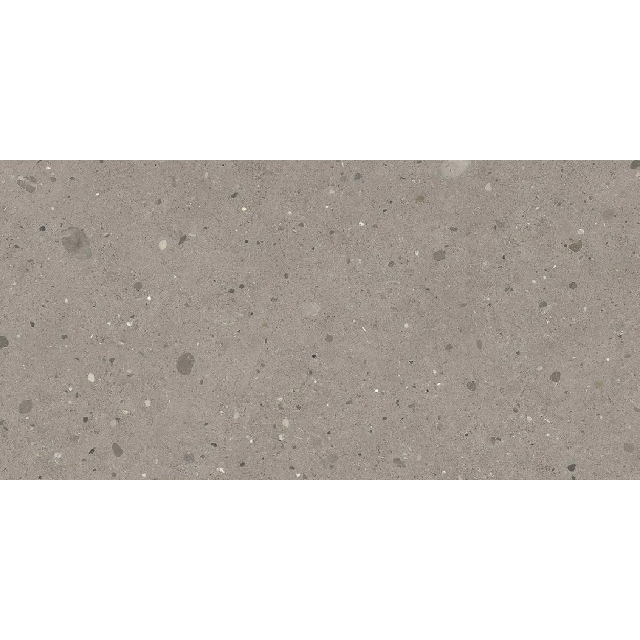 40×80 Keynote Cool Grey granitna keramika natt rett-01